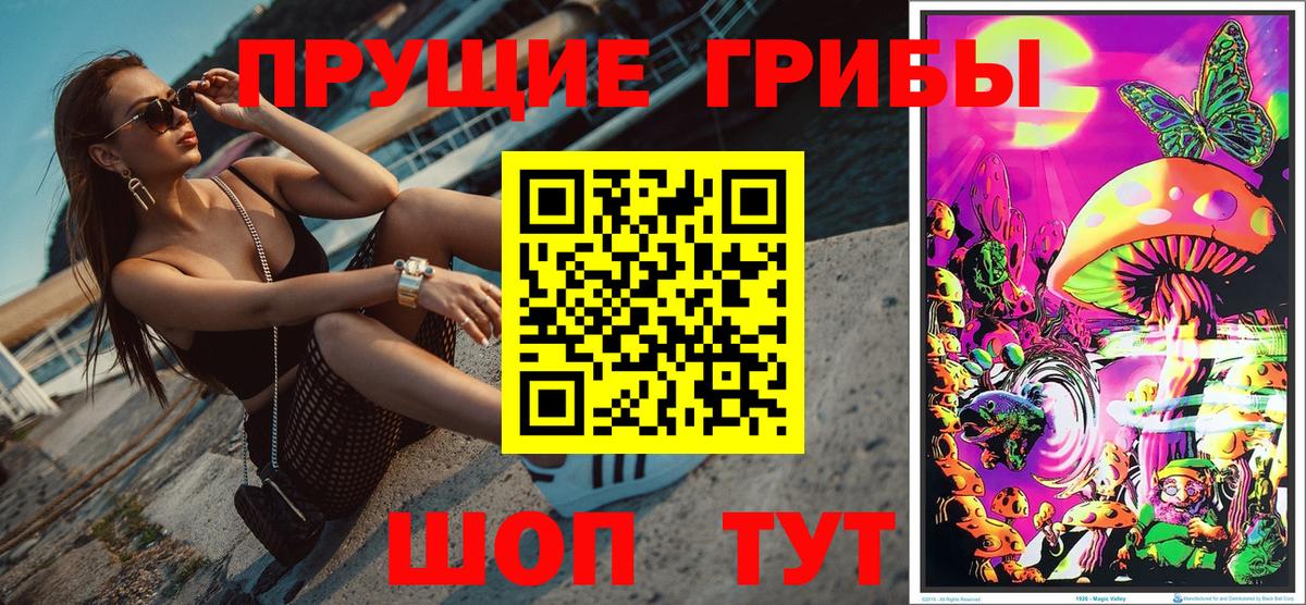 Псилоцибиновые грибы MAGIC MUSHROOMS Великий Устюг
