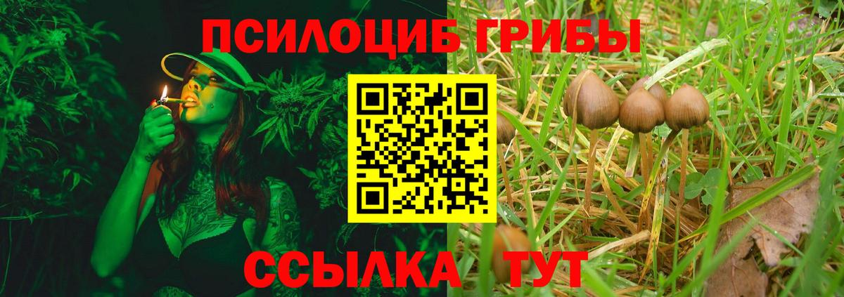 Псилоцибиновые грибы мухоморы  Вход с VPN  Великий Устюг 